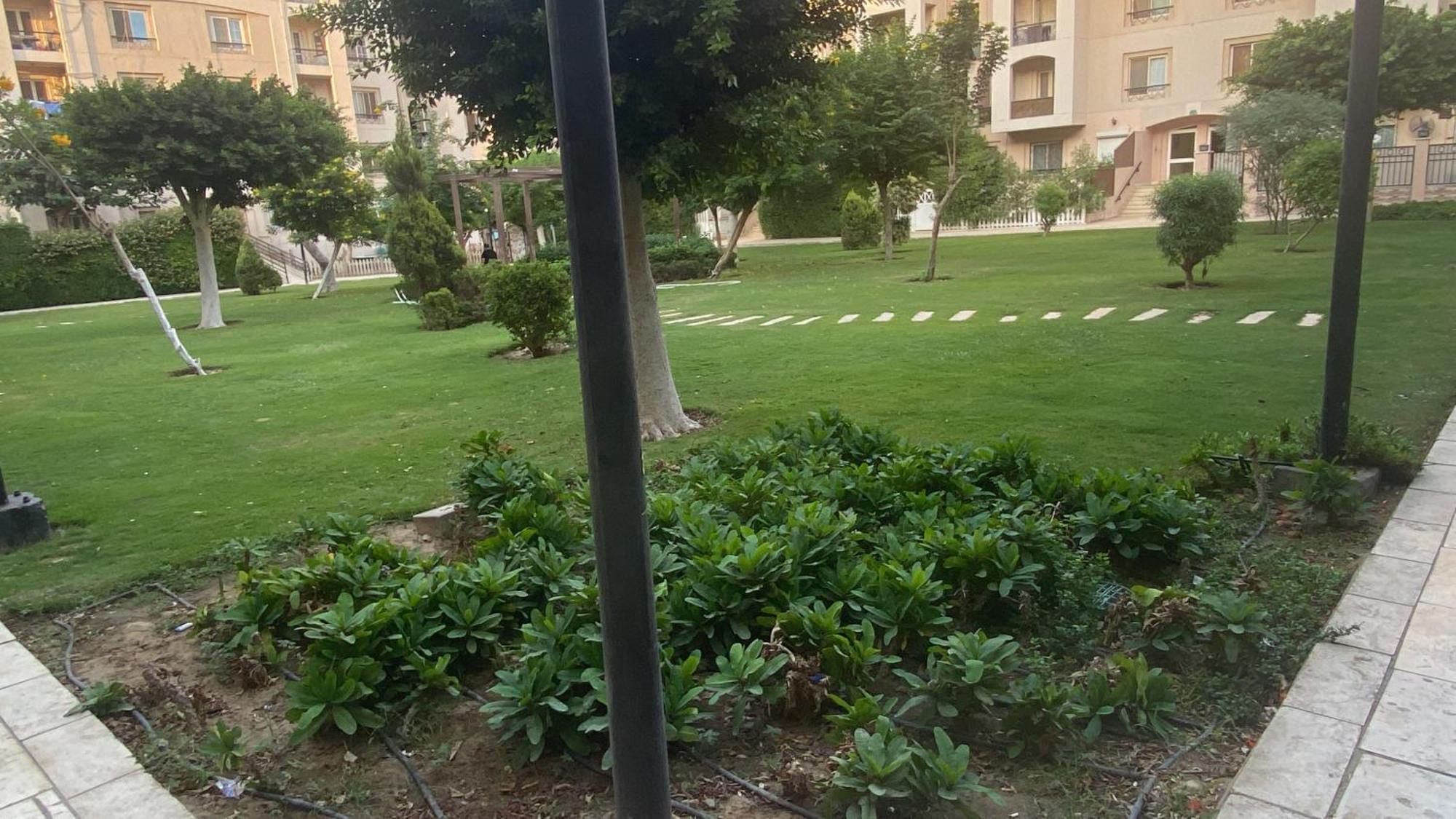 Females Only Private Bedroom With Me Rehab Cairo